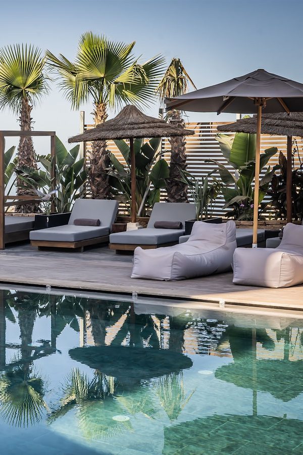 The pool and the palms at Nobi