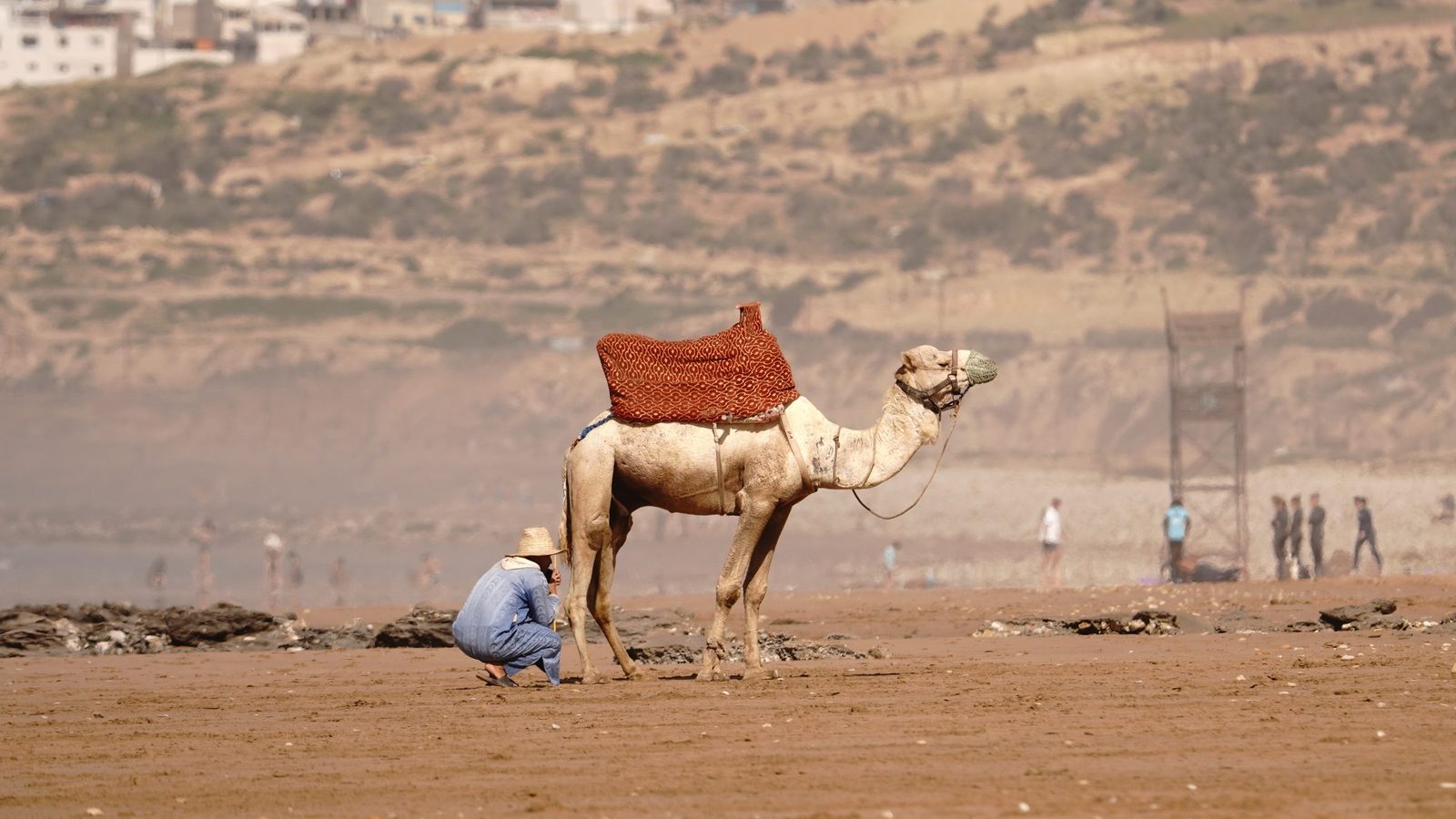 Beach life on the sand at Tamraght, Taghazout Bay